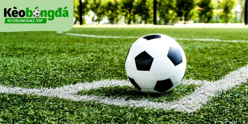 Kinh nghiệm soi kèo giúp bạn quyết định đặt cược chủ động hơn