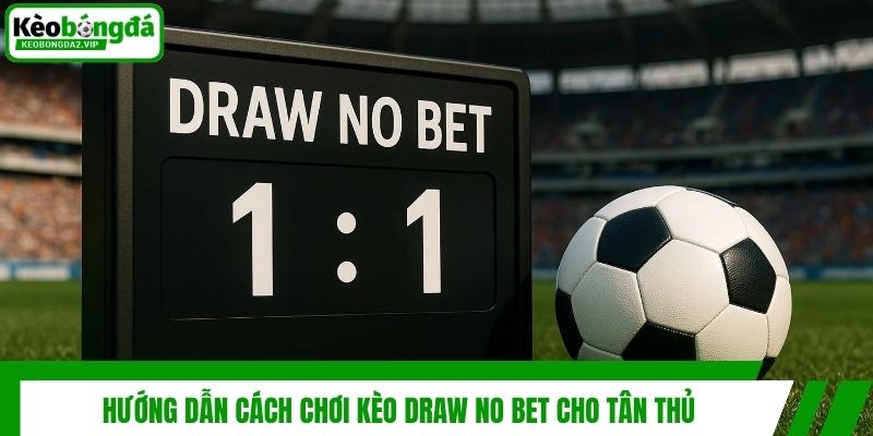 Hướng dẫn cách chơi kèo Draw No Bet cho tân thủ