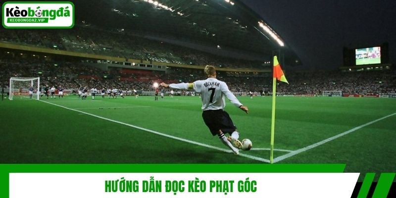 Kèo Phạt Góc - Kinh Nghiệm Soi Kèo Tuyệt Đỉnh Từ Cao Thủ 3 Hướng dẫn đọc kèo phạt góc