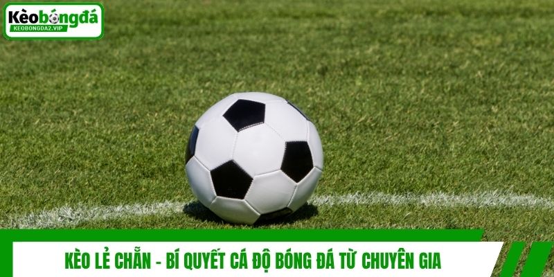 Kèo Lẻ Chẵn - Bí Quyết Cá Độ Bóng Đá Từ Chuyên Gia