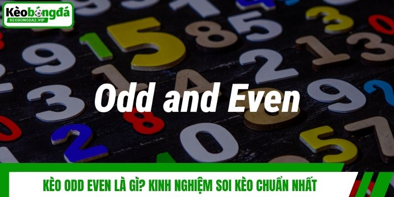 Kèo Odd Even Là Gì? Kinh Nghiệm Soi Kèo Chuẩn Nhất