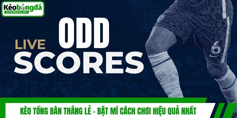 Kèo Tổng Bàn Thắng Lẻ - Bật Mí Cách Chơi Hiệu Quả Nhất