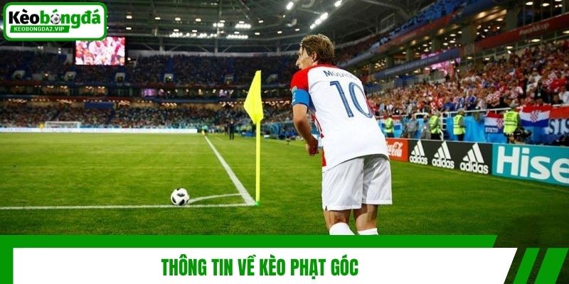 Kèo Phạt Góc - Kinh Nghiệm Soi Kèo Tuyệt Đỉnh Từ Cao Thủ 2 thong tin ve keo phat goc