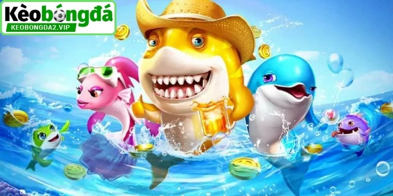 Haywin – Cổng Game Uy Tín Với Sản Phẩm Cược Đa Dạng 3 Bắn cá đổi thưởng chất lượng