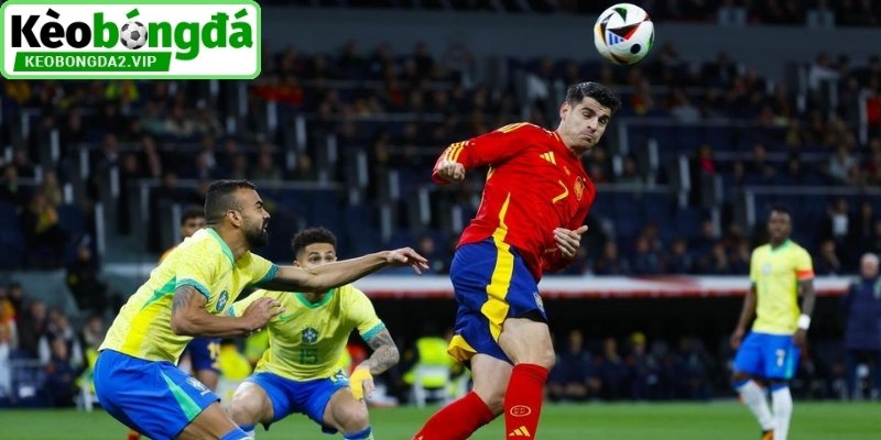 Nhận xét khả năng phòng ngự
