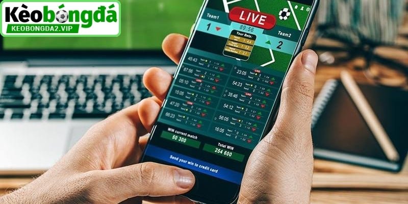 Tìm hiểu tỷ lệ kèo nhà cái 5 